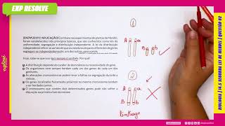 COM BASE NOS EXPERIMENTOS DE PLANTAS DE MENDEL, FORAM ESTABELECIDOS (...) | SEGUNDA LEI DE MENDEL