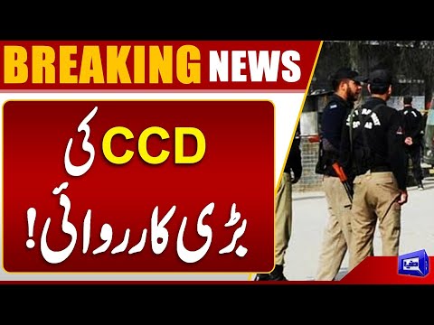 CCD in Action | Big Operation | Latest Update | Dunya News