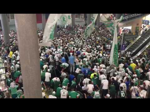 Torcida do Palmeiras faz a festa no aeroporto de Congonhas em apoio ao elenco
