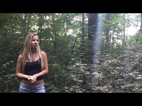 Pravo znacenje 8.kuce