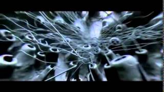 London After Midnight   Spider And The Fly 2015