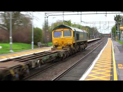 Freightliner Class 66 at Hatfield Peverel | Freightliner 66531