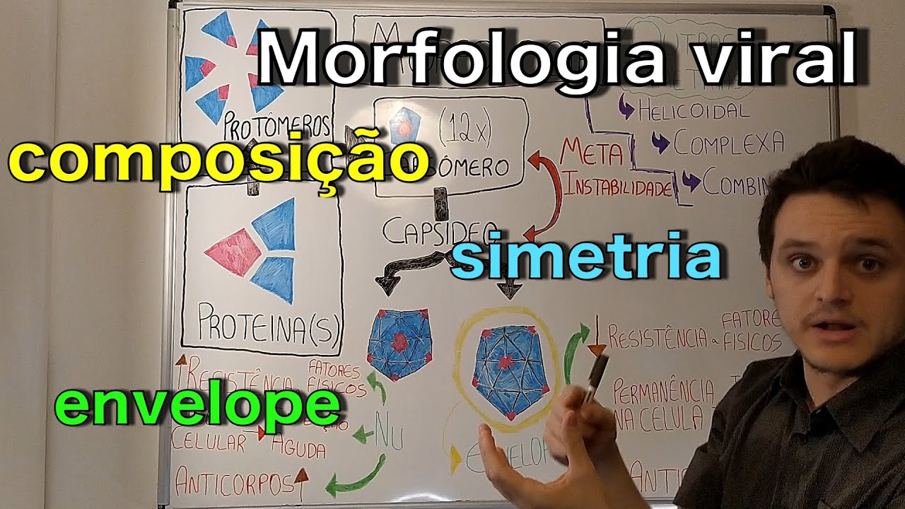Morfologia viral  | Curso de virologia | Medicina passo a passo