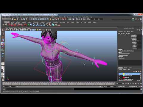 Maya Rigging: Single Skeleton vs Multiple Joint Chains — polycount Maya Rigging: Single Skeleton vs Multiple Joint Chains — polycount