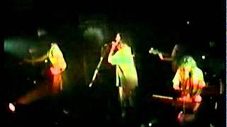 Ozric Tentacles  1994-04-19   Snakepit   (8of13)