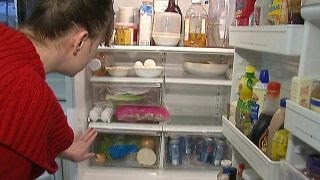 Broken appliance: Repair or replace