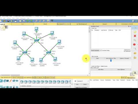 3.1.2.7 Packet Tracer - Investigating a VLAN Implementation