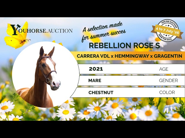 Rebellion Rose S
