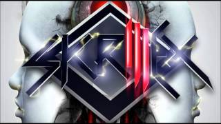 Birdy Nam Nam - Goin&#39; In (Skrillex &quot;Goin&#39; Down&quot; Mix)