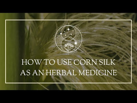How to use Corn Silk as an herbal medicine