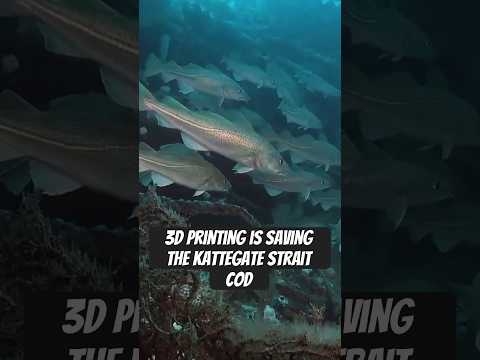 Denmark and Sweden have a fish problem, but 3D printing maybe able to help!