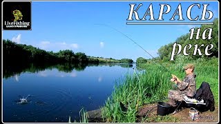 Ловля карася летом на реке сосна