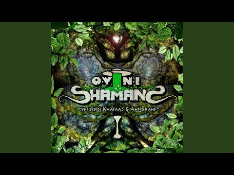 Secret of Shamanic Spices (Original Mix)