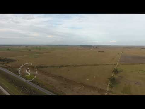 Vera y Pintado, Santa Fe.