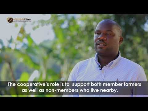 Ni Iyihe Nkomoko ya Koperative 'Abakundakawa Rushashi - Coffee?