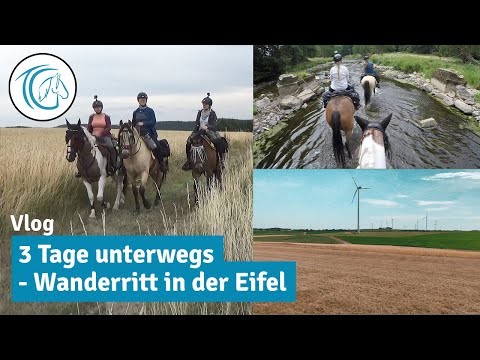 Abenteuer Wanderritt - 3 Tage in der Südeifel