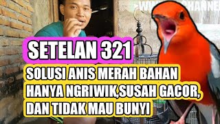 Download lagu SOLUTION FOR RED ANIS THAT HAVE DIFFICULTY SOUNDING, CONTINUOUSLY CHIPPING, SETTING 321 WILL DEFI... mp3 Download lagu SOLUTION FOR RED ANIS THAT HAVE DIFFICULTY SOUNDING, CONTINUOUSLY CHIPPING, SETTING 321 WILL DEFI... mp3