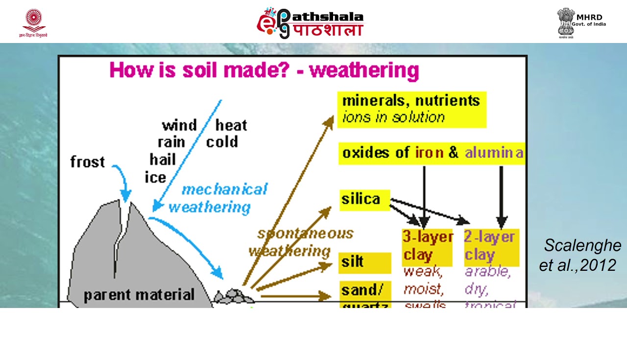 Soil formation