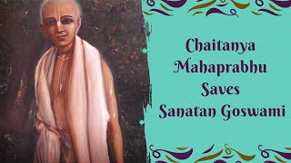C.C. Antya Lila 4.51||Chaitanya Mahaprabhu Saves Sanatan Goswami|| H.H Bhakti Gaurav Narayan Swami