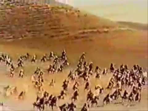 ELEMINIM 1HER PER TANAHERT