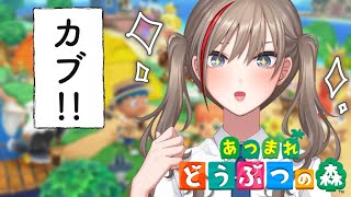 おはようございまーす! - 【どうぶつの森】日曜日の朝といえば――!【来栖夏芽/にじさんじ】