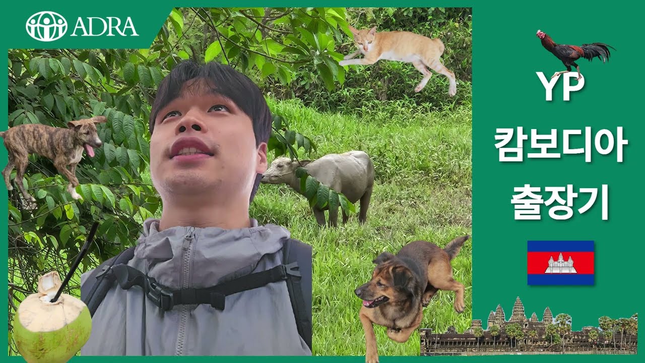 YP 캄보디아 출장기 l 해외 아동 후원 사업 모니터링