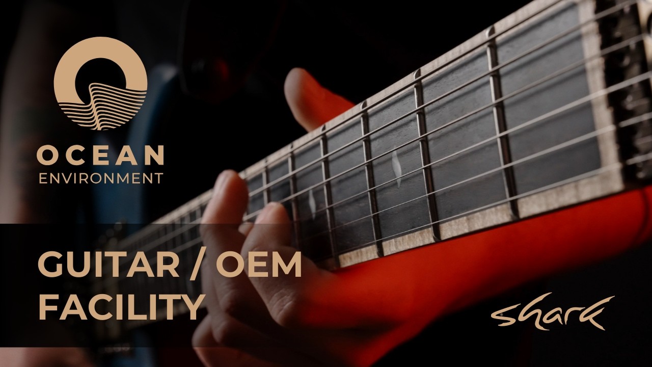 Shark Guitars Factory Feature