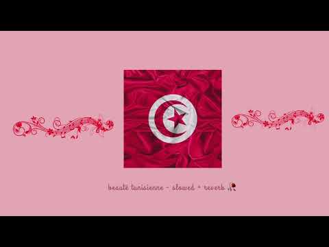 dj kayz feat. souf - beauté tunisienne (slowed + reverb)