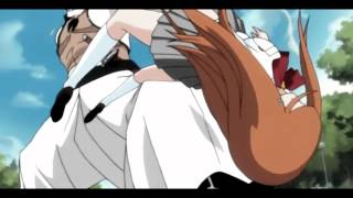 Bleach Amv - The Heartbeat