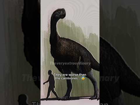 Herbivorous dinosaurs are scarier than the carnivores #dinosaur #prehistoric #triceratops #extinct
