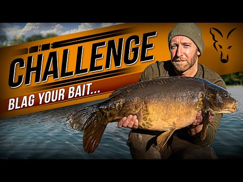 Asking strangers for bait | The Challenge ep. 24 | Carp Fishing with Mark Pitchers