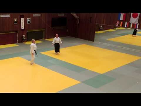 2013 Yoshinkan Aikido Demonstration by Sensei Richard Lewis in Croatia UNCUT