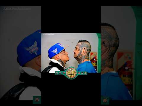 Ezequiel Matthysse VS Paton Basile 🥊 (Luna Park) Titulo del Consejo Mundial de #Boxeo 🏆 #boxing