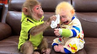 Oh No! LaLa Falls While Climbing and BiBi Rushes to Check on Her💞