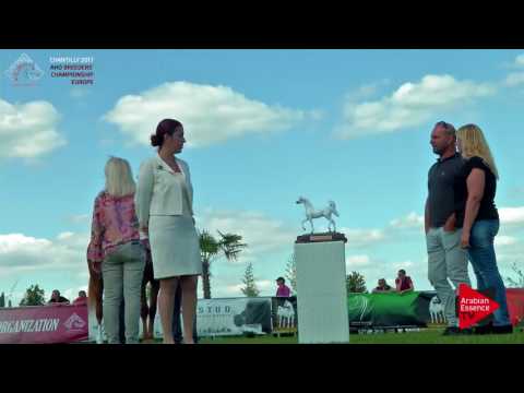 3RD PLACE N.57 MUNTASIR J - Chantilly 2017 European BCp - Yearling Colts Champ. (Class 13)