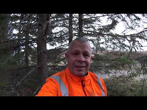 Metsolan Metsäkoulu 176 - Näkemäraivaus vs. perinteinen ennakkoraivaus