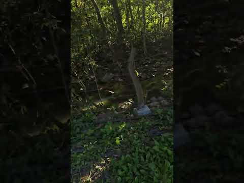 Charco el polvo #charco #Yaguará #Huila #Colombia 