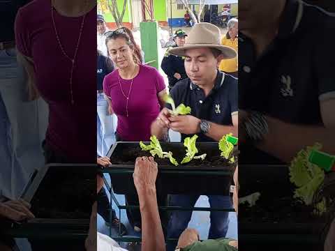 🌱♻️ Sembramos conciencia, sostenibilidad y esperanza para nuestras familias guataquiseñas.