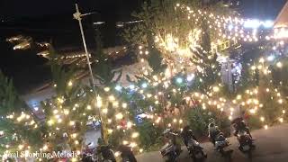 Enjoy the stunning night train ride in Da Lat