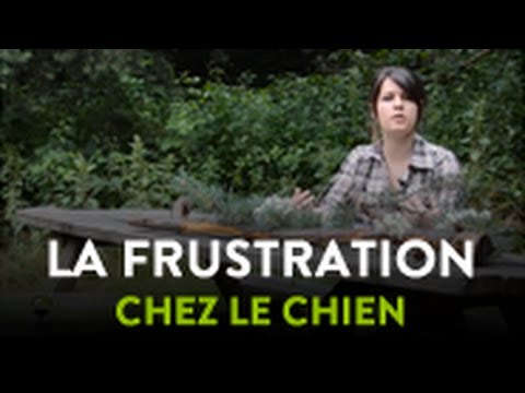 pourquoi se mord t on la joue