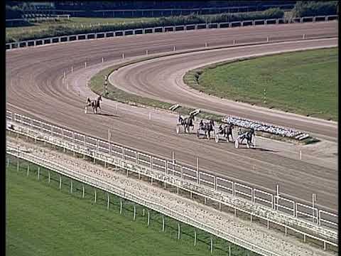 Trotto 22/10/2019 - 2ª prova di qualifica