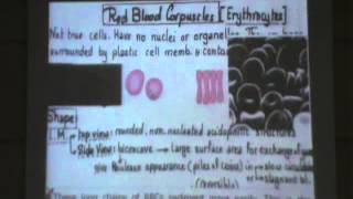 13) Dr.Gihan [Blood] 18/12/2013