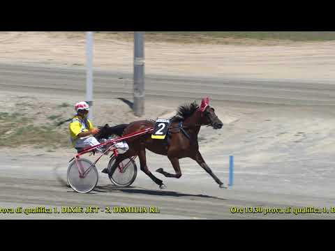 Prova di qualifica del 16 giugno 2021 - 2 Anni - Metri 1600