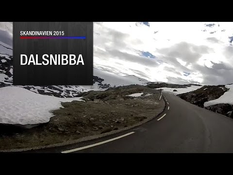 Dalsnibba │ Streckenvideo Norwegen 🇳🇴 Ténéré on Tour │ XT660Z