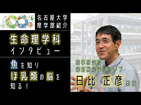 【インタビュー】生命理学科・日比正彦先生に聞いてみた！【名大理学部・生命理学科の魅力】