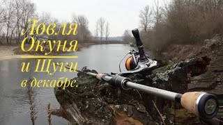 Ловля щуку и окуня в декабре