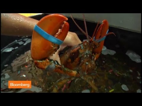 How Two Guys Built a Lobster Empire