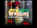 Rye Rye- New Thing (Adidas Theme Song) LYRICS ...