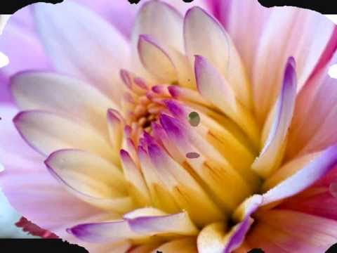 Thumbnail for That's What Matters video