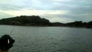 Robalo 3,5kg - Guarapari ES - Beira da praia - jan/2012